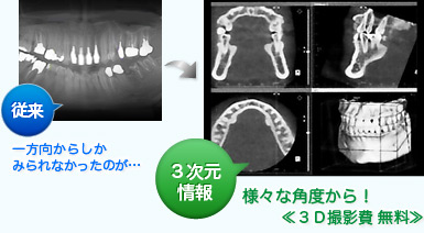 ϰ餷ʤäΤ3͡ʳ٤顪